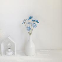 Man Island quiet summer night Blue Violet dried flowers Nordic simple Morandi bottle Home shop decoration soft outfit