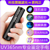 Woods lamp Cat moss detection flashlight UV light Pet fungus test Fluorescent pen Banknote detection Purple light