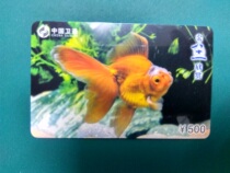 The Chinese Methodist goldfish appreciates the phone card