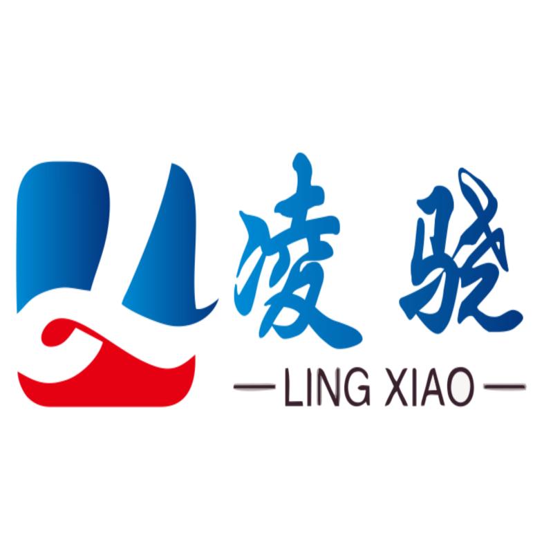凌骁水泵品牌折扣店的LOGO