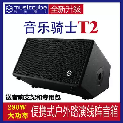 Music Knight T2 saxophone special speaker 280W high power sound card live audio musiccube