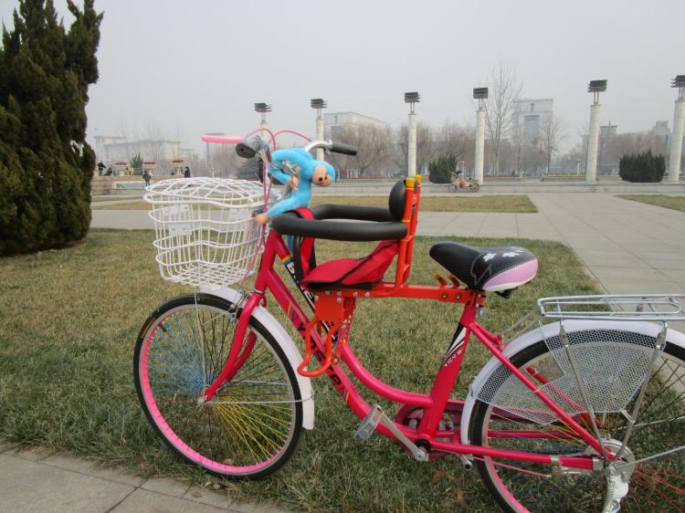 siège enfants pour vélo - Ref 2413469 Image 19