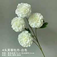 4 Гибискус (белый)