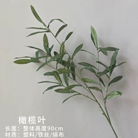 Розовые красные оливковые листья (зеленый)