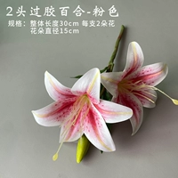 2 головы над жвалой лили (розовый)