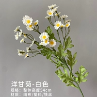 Синий апельсиновый ромаш (белый)