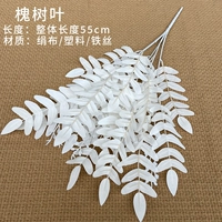 Зеленый софора листья (белый)