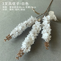 Темно-серого гиацинта 3-фирменного (белый