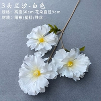 Вайолет 3 синие приливы (белый)