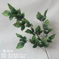 Голубой птичий лист (зеленый)