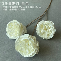 Остин (белый)