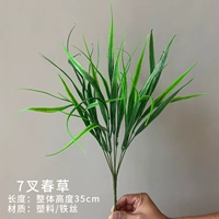 Тибетская синяя 7 вилочная весенняя трава