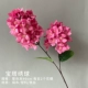 Пагода Hydrangea-Rose Red