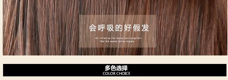 Extension cheveux - Chignon - Ref 236621 Image 45