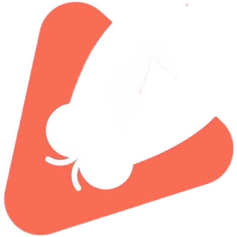 无忧电脑网络服务的LOGO