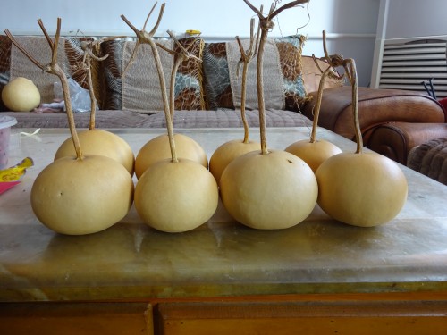 Natural round gourd, persimmon, apple gourd, bird's nest, succulent flowerpot with slightly flawed raw materials, more than 5 pieces