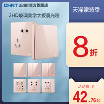 Chint official flagship store 86 type five-hole USB household concealed glass switch socket panel porous 2HD powder