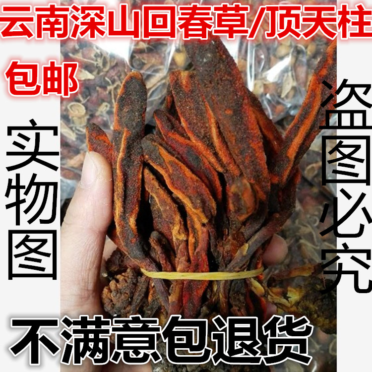 Selection of stock Back to spring grass 250g Grass Grass Cistone Roof column Ifit without old grass Double kidney Sub wind Flow Fruit Bubble stock