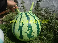 40 см экологически чистого шар для арбуза