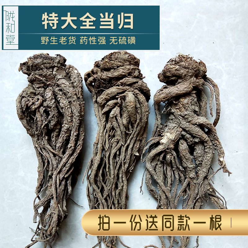 Years of wild big old Angelica 500g natural sulfur-free special grade Gansu all Angelica whole root medicinal materials help slices