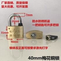 Power meter box lock through open copper padlock 40mm plum blossom one key to open multiple locks Waterproof anti-theft