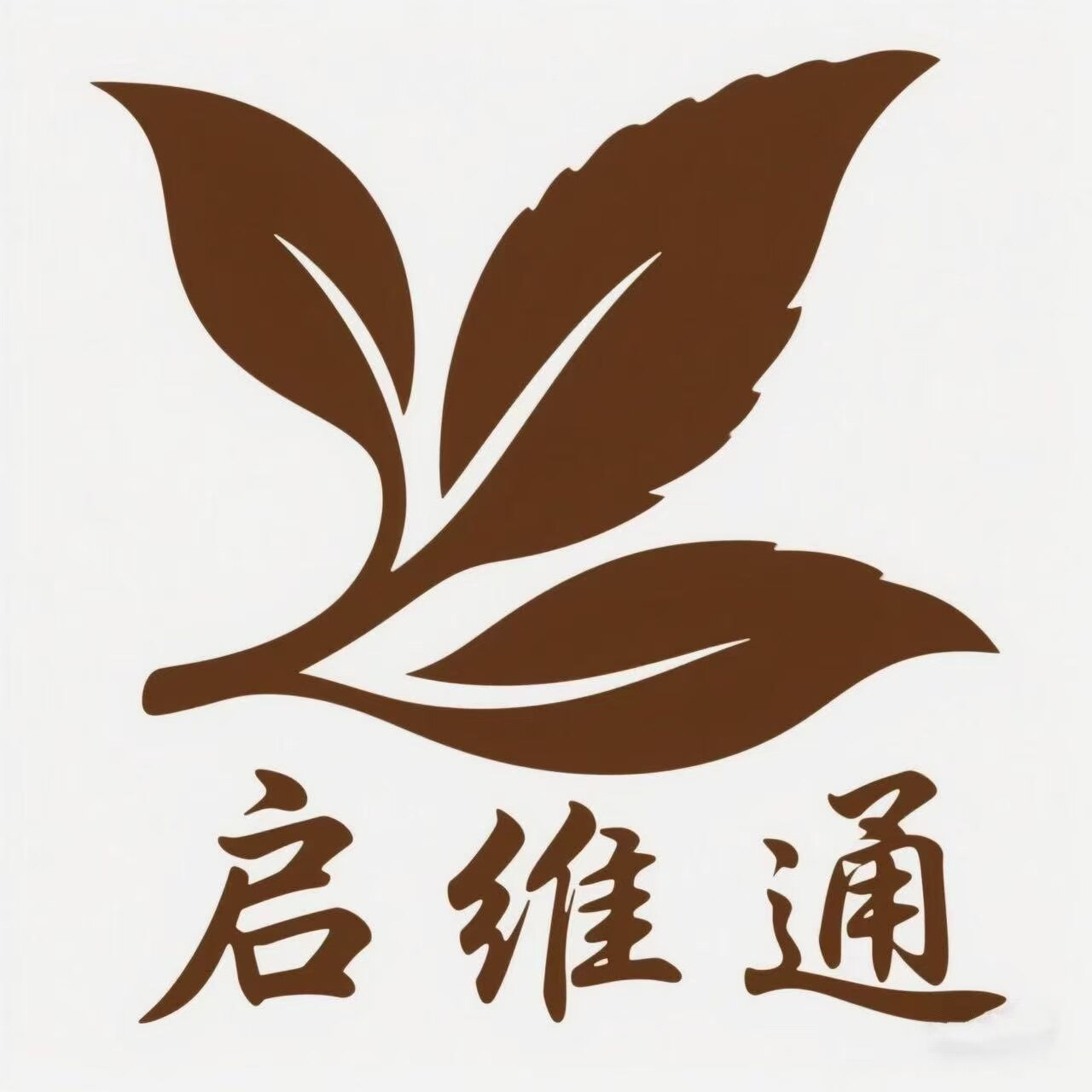 启维通茶叶企业店