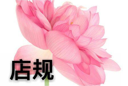 Accessoire cheveux - Ref 1205037 Image 8