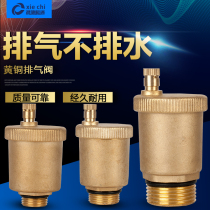 Large pontoon automatic exhaust valve Heating heating automatic exhaust valve for floor heating engineering exhaust non-drainage exhaust valve