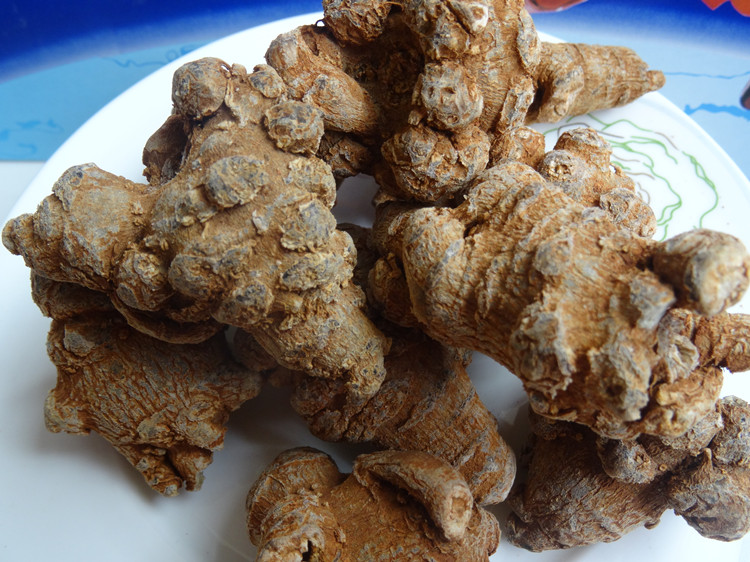 Yunnan Wenshan selected lion head spring Sanqi 20 heads 30 heads Tianqi 500g free generation of ultra-fine three