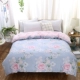 Khoe chăn bông Mercury một mảnh 100% cotton twill quilt bìa đơn ký túc xá 1,5 mét đôi 200x230 - Quilt Covers