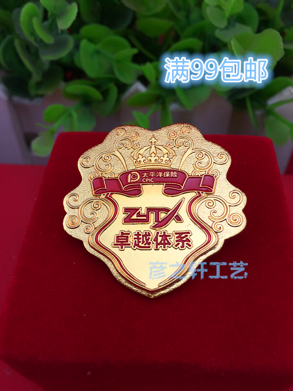 Pacific Excellence System Division Emblem Personality Badge Chest Needle Customised to do