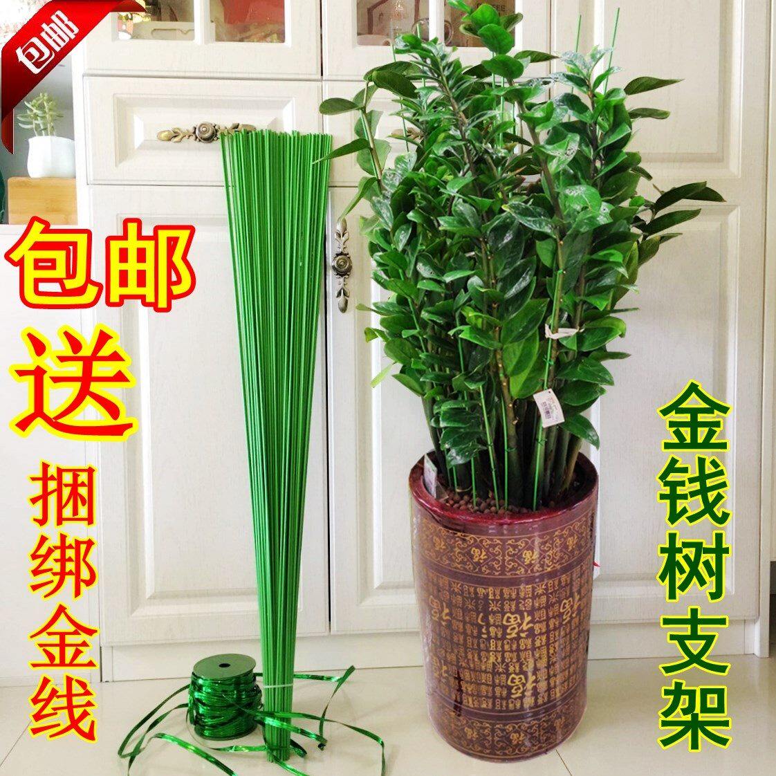 Gardening Pillar Money Tree Bracket Butterfly Lan Grand Flower Cymbidium Lily Plant Climbing Vines Bracket Fixed Foster Support Bracket