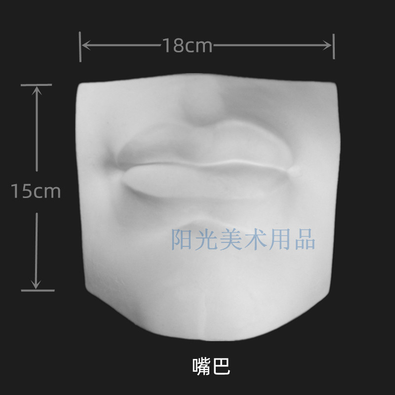 Real Face Five Guan Mouth Plaster Statue Model Ear nose Nose Eyes Pendulum piece Pendant Art Examination Fine Art Sketching-Taobao