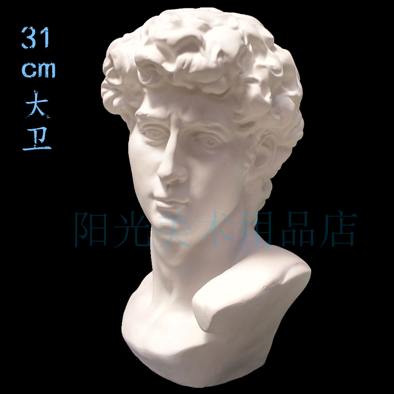 David plaster head 31cm figure model Sculpture ornaments Sketch Still life European decoration Sketching plaster statue