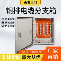 Minerals Cable Branch Box Low Pressure Floor Bridge Distribution Box terminals Junction Box copper row T-box conversion box