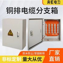 Mineral cable branch box T-box copper bar insulated sub-box low pressure conversion box wiring terminal shunt box