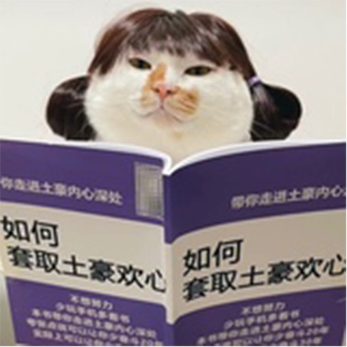 叙旧OLDTMES