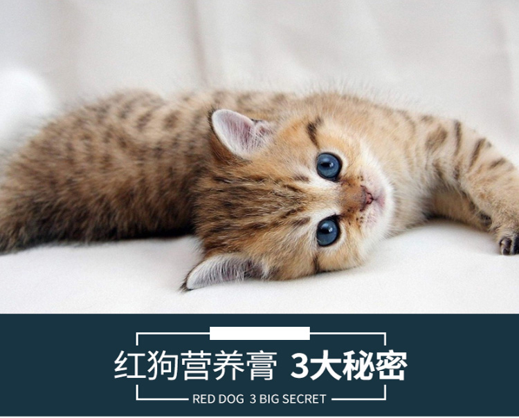 RedDog Red Dog Cat Dog Dinh Dưỡng Kem Mang Thai Puppy Cat Cat Dog Cat Tha Mồi Vàng Dog Pet Sản Phẩm Sức Khỏe sữa cho mèo mới đẻ