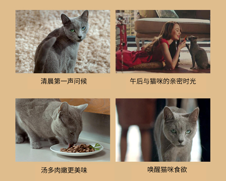 Ma Shi Xi Bao Cat Thức ăn cho mèo Cá ngừ đóng hộp và Mực ngon 85g Đồ ăn vặt Full 88 Bắc Kinh 9 Tỉnh felipro