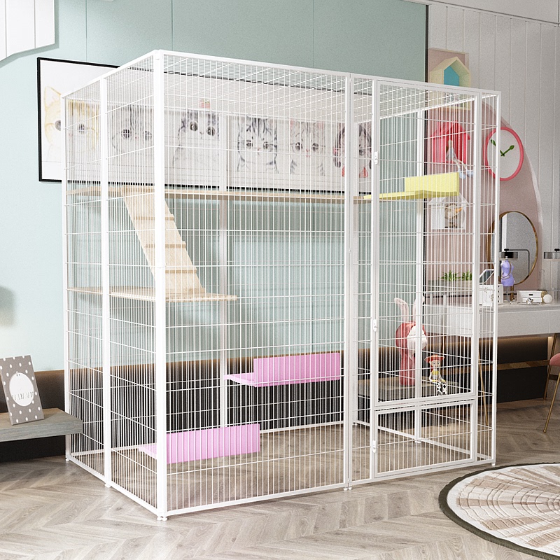 Large Space Cat Cage Made of Steel Pipes, Free Space Cat Villa, Large Breeding Cat House, Cat Fence, Pigeon Cage Large Space Cat Cage Made of Steel Pipes, Free Space Cat Villa, Large Breeding Cat House, Cat Fence, Pigeon Cage