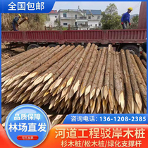 Fir log piles outdoor river revetment pine solid wood piles green seedlings support rods larch log piling