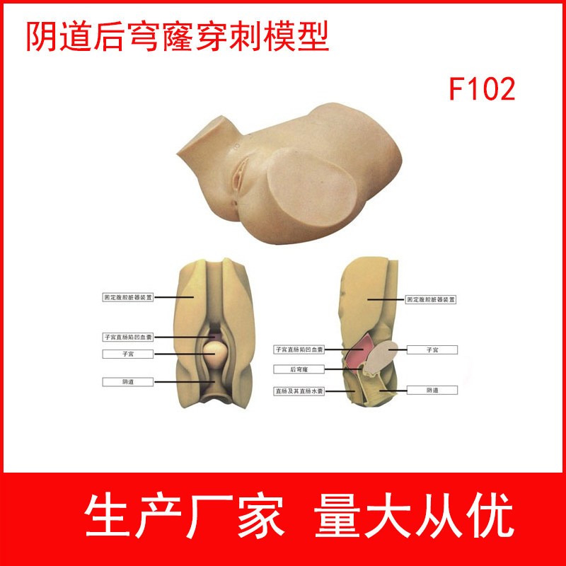 阴道后穹窿穿刺监测考核指导模型 妇科训练实战模具 医学教学模型