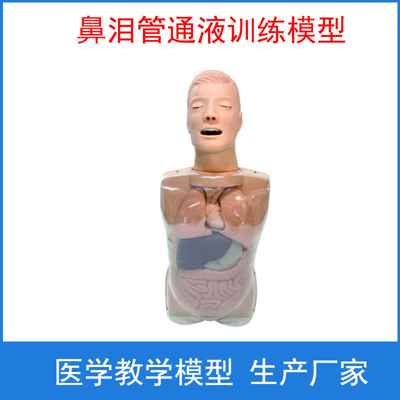 鼻泪管通液训练模型 鼻泪管护理训练模型  护理培训专用模型