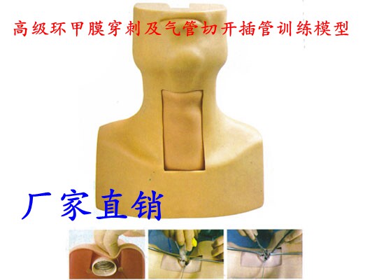 气管切开术教学训练 高级环甲膜穿刺及气管切开插管训练模型