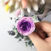 Фиолетовый градиент физическая часть розового пурпура немного немного