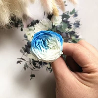 Новый синий и белый