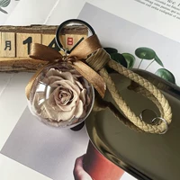 Brown 5cm Special Propect Model