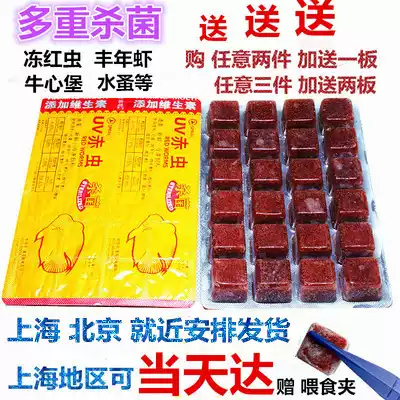 Frozen red blood worm, red worm, red worm, beef heart Burger, rich shrimp, parrot, Red Dragon, food and feeding