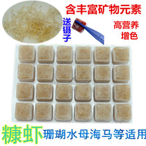  Frozen bran shrimp fish feed Small fish open over feed Export-grade quality can be fed seahorse coral