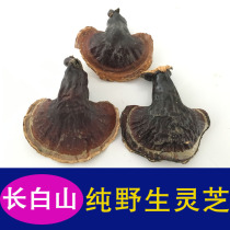 (Source Baozheng) Pure Changbai Mountain Wild Pine Fir Ganoderma lucidum wild Ganoderma lucidum Ganoderma lucidum dry products